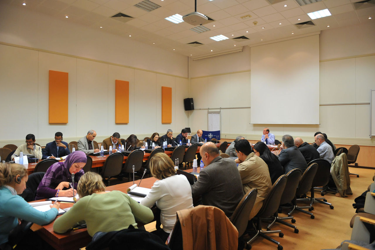 View on the senior media representatives from Mediterranean Dialogue and Istanbul Cooperation Initiative countries 