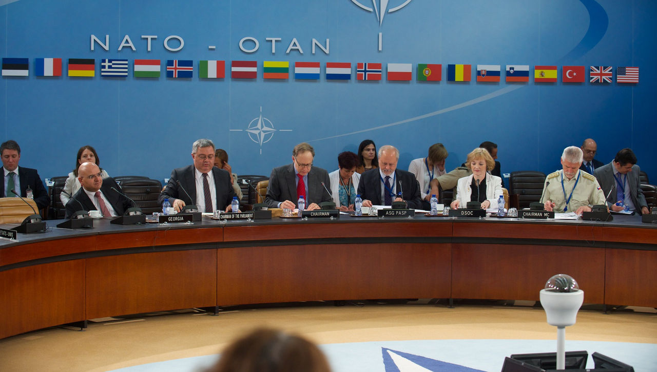 David Usupashvili, Chairman of the Parliament of Georgia and NATO Deputy Secretary General Alexander Vershbow at a meeting of the NATO-Georgia Commission