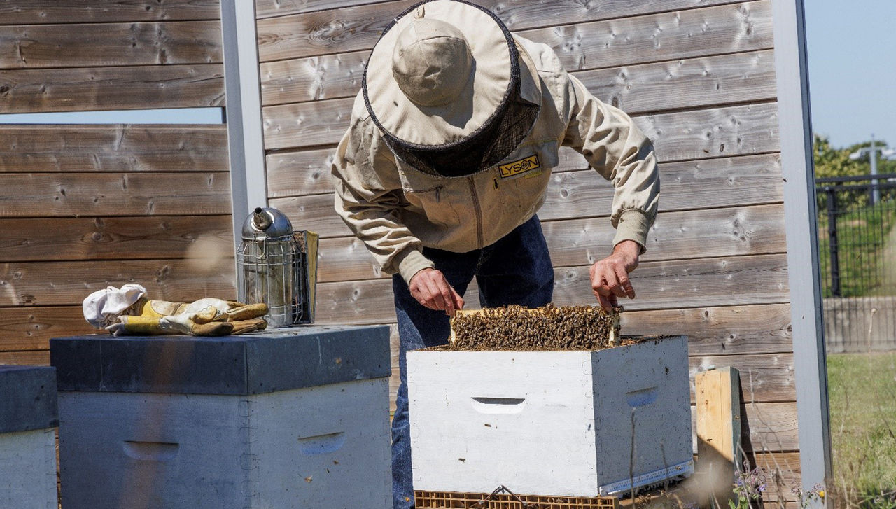 Bruno Harmant, beekeeper at NATO Headquarters in Brussels, Belgium
