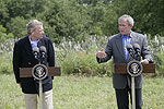 070522bush.jpg