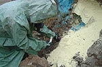 080401-pesticides.jpg