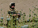 080414-counter-narcotics.jpg