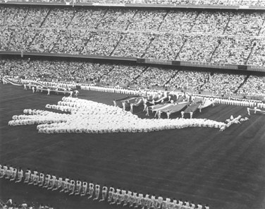 SPAIN AND NATO - 1982