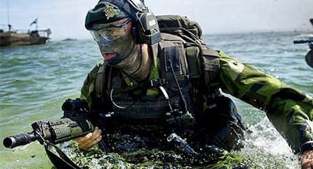 “Nordic duo should stay together”  -- study on NATO membership published in Finland