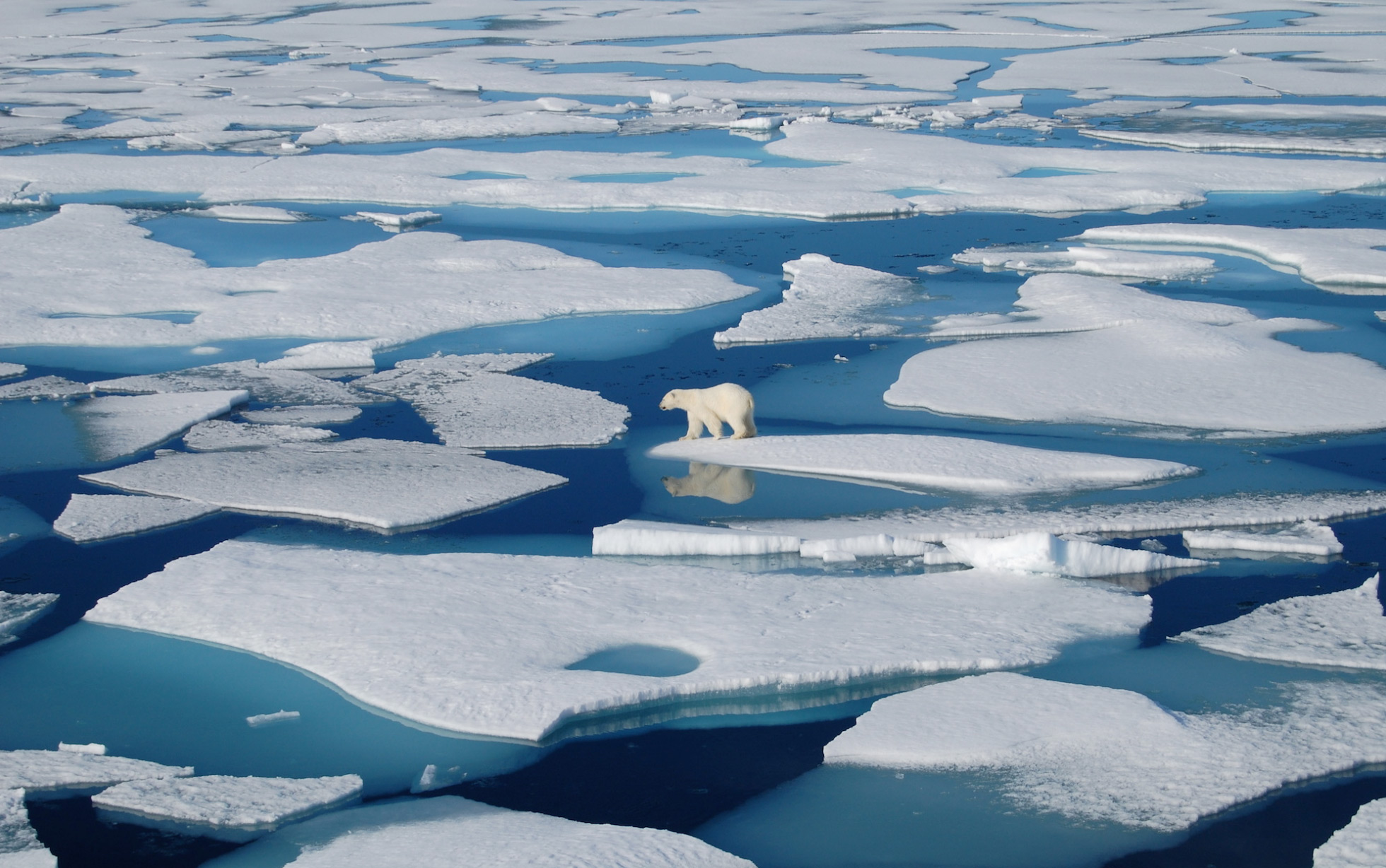 arctique photo