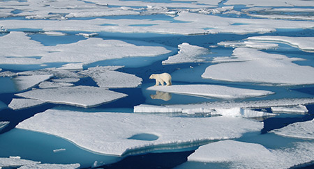 Kuzey Kutup Bölgesinde güvenliğin değişen çehresi ng shape of Arctic security