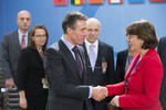 131204g-002.jpg - Meetings of the Ministers of Foreign Affairs at NATO Headquarters in Brussels - Meeting of the NATO-Georgia Council (NGC), 58.90KB