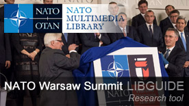 160705-libguide-warsaw.jpg