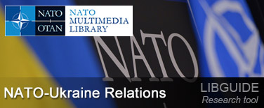 LIBguide_banner-ukraine-376.jpg