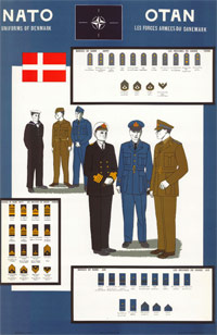 poster shows army uniforms of Denmark in the 1950s