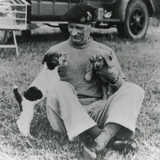 Field Marshal Montgomery with his dogs.