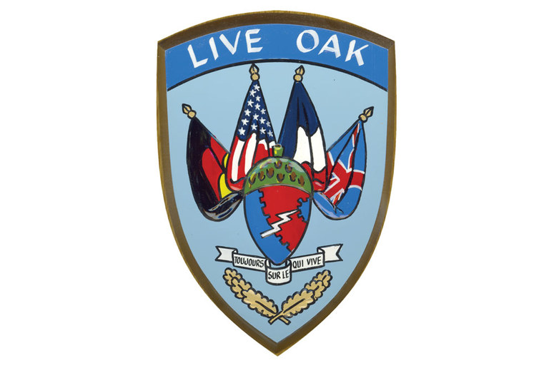 Code Name - LIVE OAK