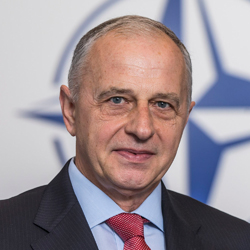 Mircea Geoană, NATO Deputy Secretary General 