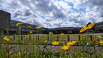 200901-oldhq3.jpg, 112.56KB