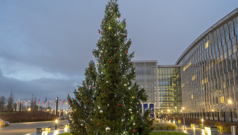 Christmas tree at NATO Headquarters