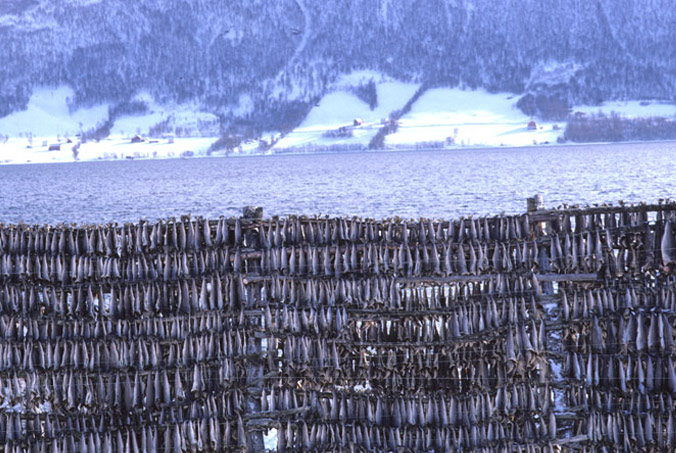 Fish drying during Avalanche Express