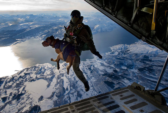 Soldier jumps with rescue dog during Cold Response 2010