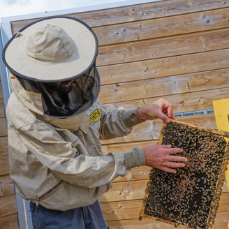 NATO 2022 Honey Harvesting