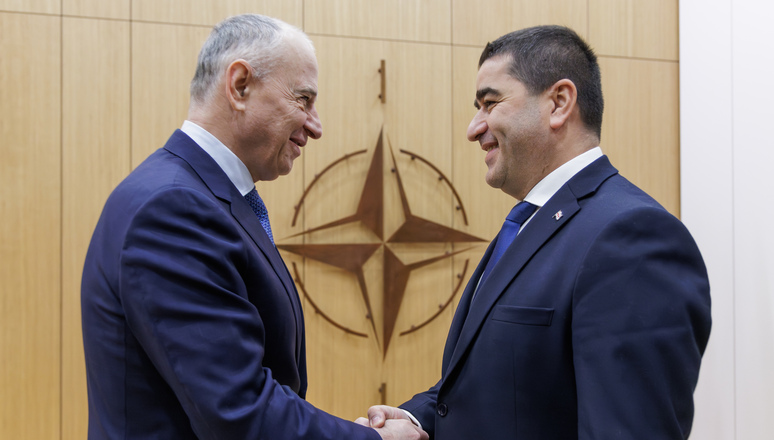 NATO Deputy Secretary General Mircea Geoană meets with Mr Shalva Papuashvili, Chairman of Parliament of Georgia