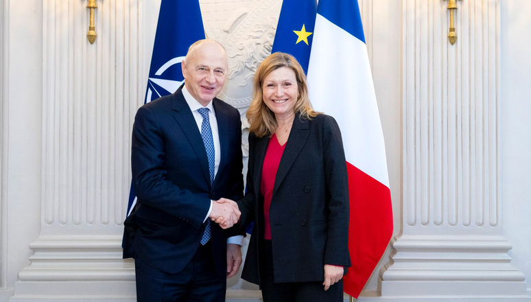 NATO Deputy Secretary General at the French National Assembly