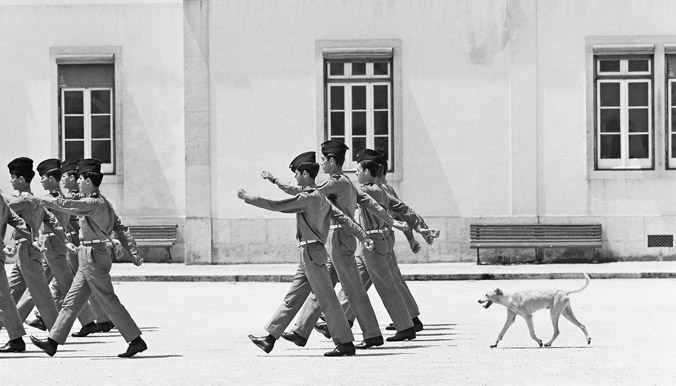 A dog barks orders while he hounds Portuguese soldiers during a drill exercise (1967). 