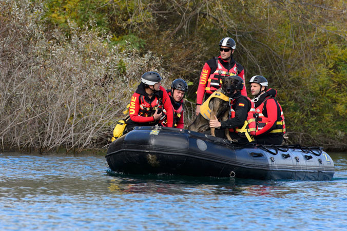 Rata, a rescue dog aboard a Spanish Military Emergency Unit boat is ready to make a splash during Consequence Management Exercise 'CRNA GORA - 2016' in Montenegro. Rata can smell humans up to eight metres away in the water, so she's the MVP (most valuable pup) during search and rescue missions!