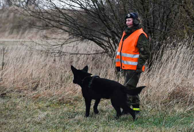 A member of the Norwegian military and her Norwegian Elkhound prowl the grounds of Orland Air Station, Norway to secure Allied aircraft during exercise Trident Juncture 2018. Did you know: the Defence Minister of Norway is empowered to mobilise all privately owned Elkhounds to carry military supplies on sleds over snow during wartime!