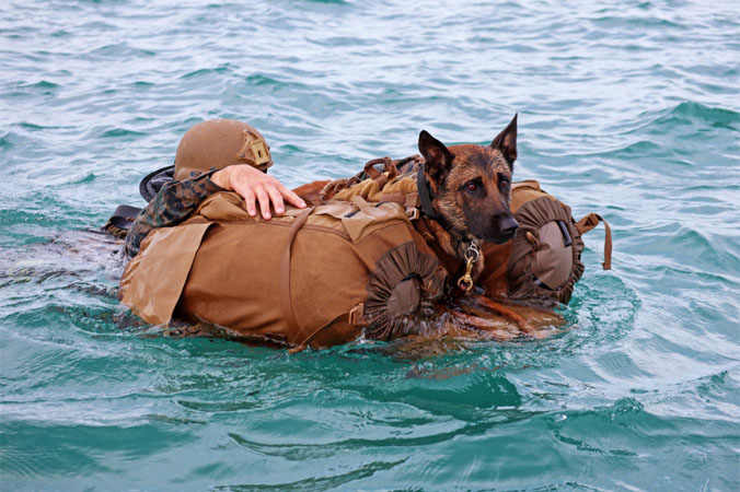 'Seas-ing' the day! A US marine and his working dog participate in over-the-beach-bag canine handler training at Naval Air Station Key West, United States (2018).