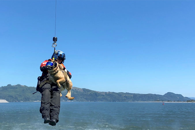 Let's raise the woof! Two members of the Coast Guard Maritime Safety and Security Team 91101 deploy from an MH-60 Jayhawk helicopter during a training exercise near the entrance to the Columbia River in Oregon, United States (2020).