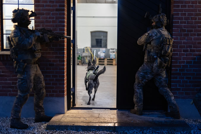 Special operations forces from the Danish Jaeger Corps unleash their combat assault dog, Kaos, during exercise Night Hawk 2021. The exercise, hosted by Denmark, tests Allies'and partners' ability to work together through a series of complex counter-terrorism and hybrid warfare scenarios.