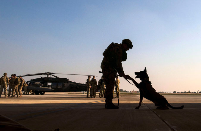 A US military working dog handler assigned to the 39th Security Forces Squadron on paw patrol with his K-9 partner, Nico, before a joint training event at Incirlik Air Base, Türkiye (2021).