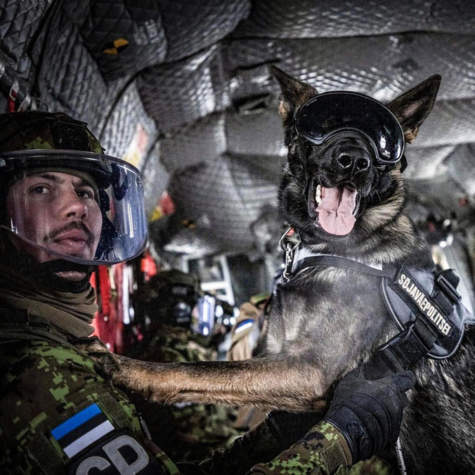 Having a ball! An Estonian working dog 'em-barks' on a flight on a Chinook with Royal Air Force Odiham. Dogs and their handlers practise rapid embarkation and debarkation drills on aircraft supporting NATO forces as part of NATO's multinational battlegroup in Estonia (2023). 