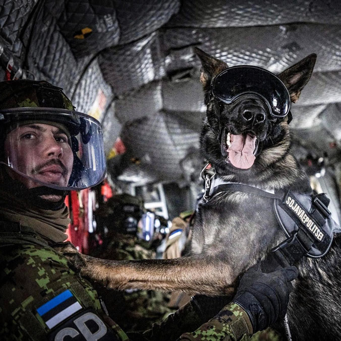 Having a ball! An Estonian working dog 'em-barks' on a flight on a Chinook with Royal Air Force Odiham. Dogs and their handlers practise rapid embarkation and debarkation drills on aircraft supporting NATO forces as part of NATO's multinational battlegroup in Estonia (2023).