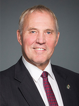 Bill Blair, Minister of Defence of Canada