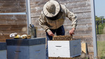 230912-beekeeper-001.jpg, 46.27KB