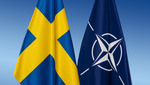 240307-sweden-nato-flag.jpg , 56.11KB