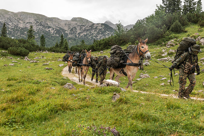 The German Mountain Infantry Brigade