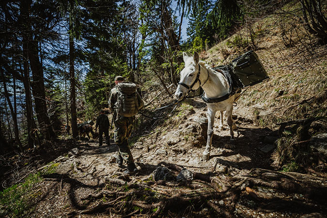 German Mountain Infantry Brigade