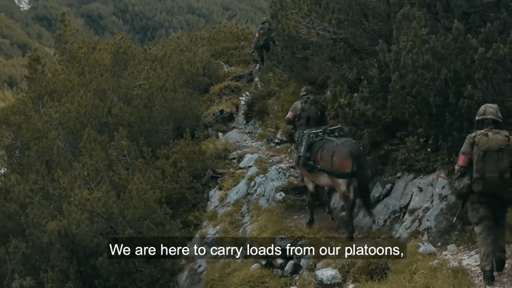 Meet Master Sergeant Matthias Havel, a member of the German Mountain Infantry Brigade employing pack animals in its missions