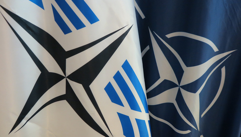 The NATO Parliamentary Assembly is an inter-parliamentary organisation that brings together legislators from NATO member countries to consider security-related issues of common interest and concern.