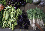 110331-Food-security-in-Central-Asia.jpg - Vegetable seller sorts vegetables at a market in New Delhi, 56.12KB