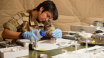 161214-IED-analysis.jpg - 161214-IED-analysis.jpg, 52.71KB