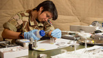 161214-IED-analysis.jpg - 161214-IED-analysis.jpg, 52.87KB