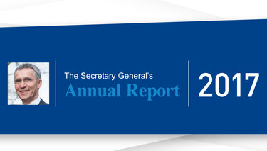 Secretary General's Annual Report 2017