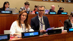 180621-pasp-un.jpg - 180621-pasp-un.jpg, 65.43KB