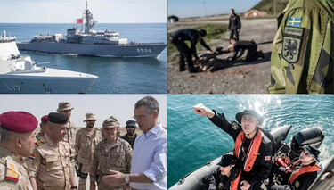 Partnerships: projecting stability through cooperation