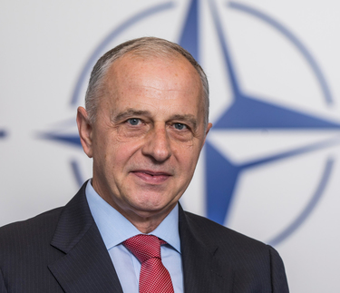 Mircea Geoană, NATO Deputy Secretary General 